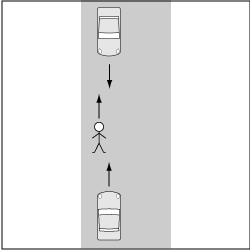 歩行車対自動車、左側歩行中の車道における事故